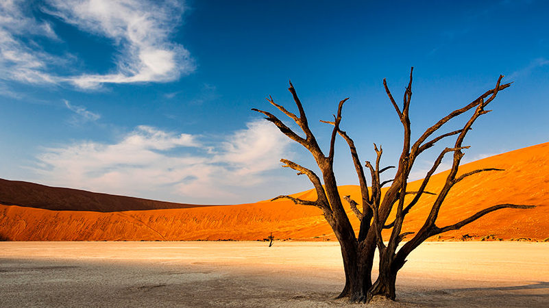 Namibia&rsquo;s gold rush is intact thanks to Wia, B2Gold
