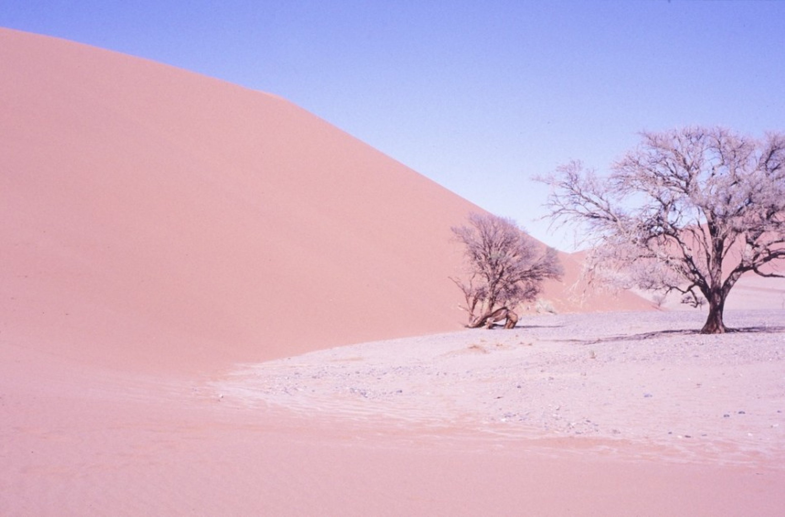 Namibia&rsquo;s Miraculous Wellspring: Newly Discovered Aquifer Could Help Develop Agriculture